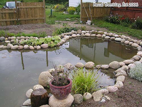 Faire un Jardin d'eau - Plan de bassin d'eau - Installer Bassin prémoulé