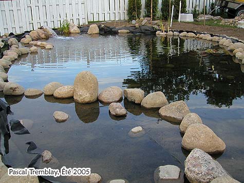 Bassin extérieur - Jardin d'eau - Aménagement paysager - Concevoir un bassin d'eau