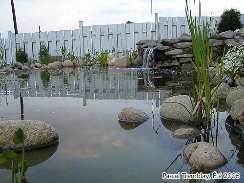 Bassin de Jardin - Cascades et pompes pour bassins extérieurs - Filtres pour bassin Jardin d'eau