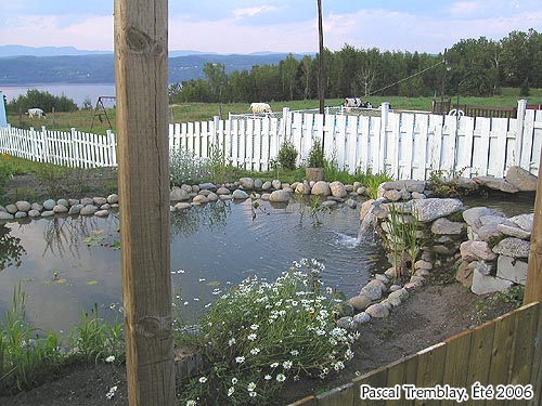 Construire jardin d'eau Plan d'aménagement - Comment réussir son bassin extérieur