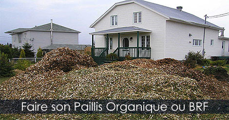 Paillis organique - Comment fabriquer son paillis organique ou bois raméal fragmenté - Paillis décoratif organique