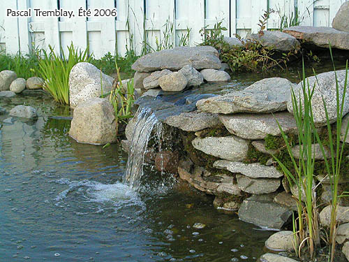 bassin de jardin avec chute d'eau