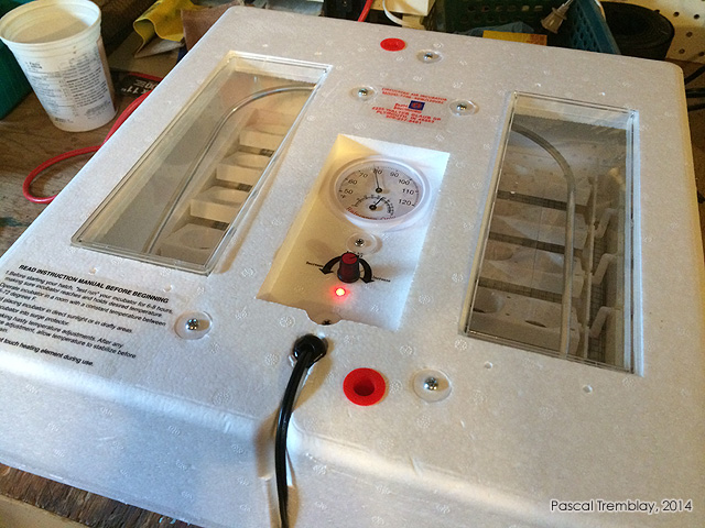 Température couveuse automatique - thermostat couveuse - thermostat incubateur