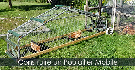 Comment construire un Poulailler mobile - Plans et étapes de construction d'un tracteur à poules.