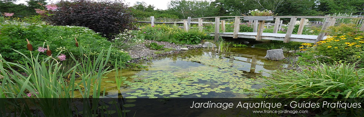 Guides Pratiques du Jardinage Aquatique Francophone - Les jardins aquatiques, bassins et ruisseaux. Guide de Jardinage.