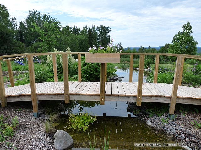 Ruisseau sous pont de jardin - Design au Jardin
