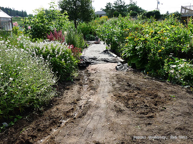 Un chemin dans un jardin - Courbe dans la conception d'allées de jardin - Jardin anglais - effet de profondeur