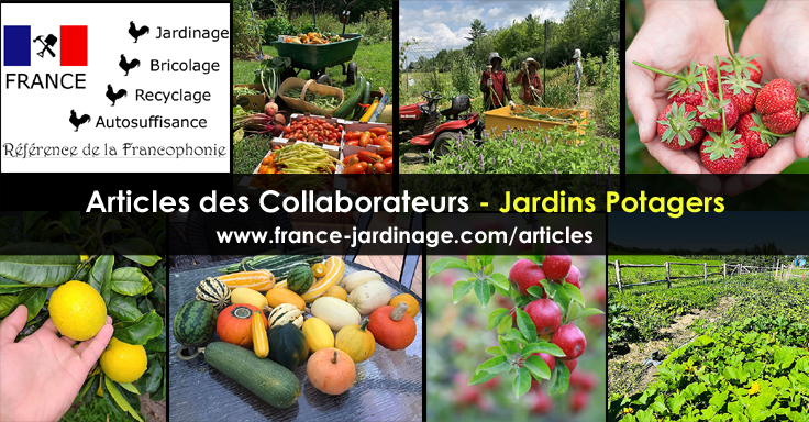 Fruits et légumes - Jardins
