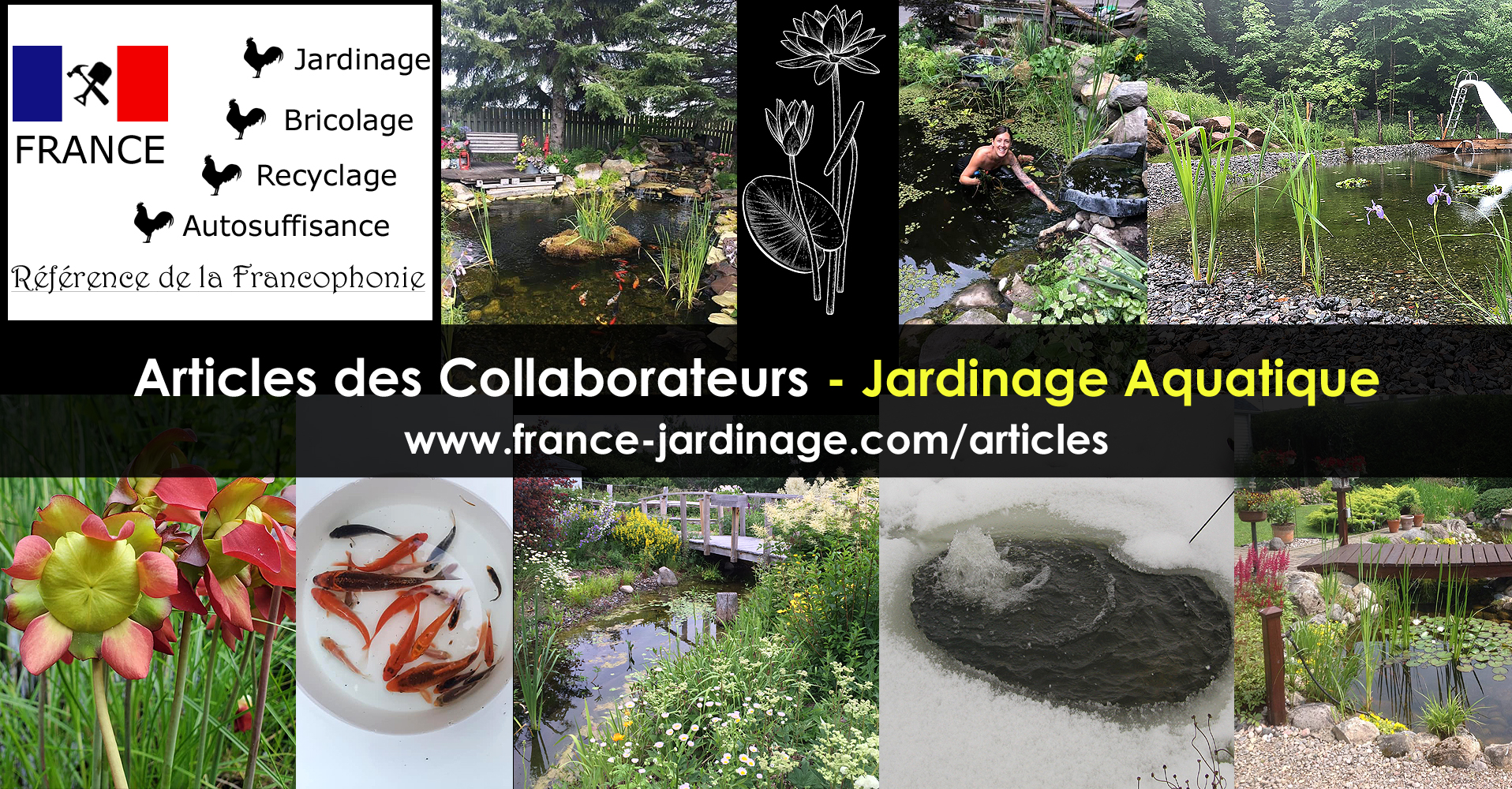 Jardinage Aquatique Articles des Collaborateurs de Jardinage — free download