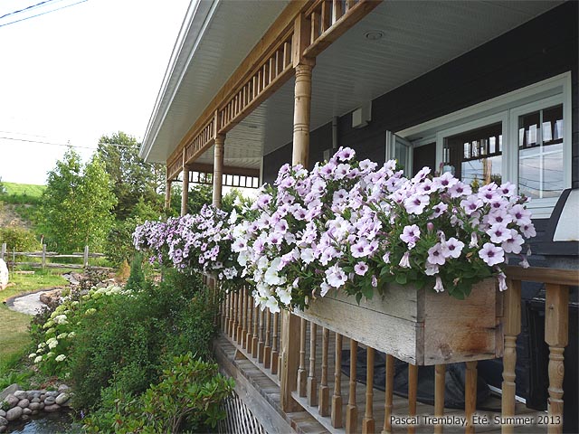 Photo de balconnière - Aménager une terrasse - Décoration par les fleurs