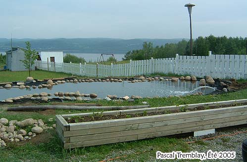 Aménagement des berges - Bordure du bassin d'eau - Construction d'un étang - Faire un Jardin d'eau
