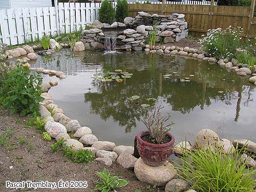 Jardin d'eau - Bassin extérieur - étang - construire un bassin d'eau
