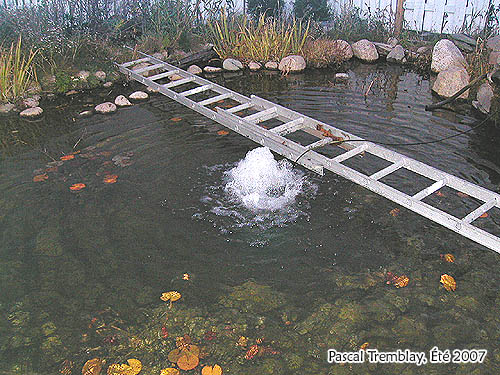 Déglaceur pour jardin aquatique - Construction étang - système antigel bassin