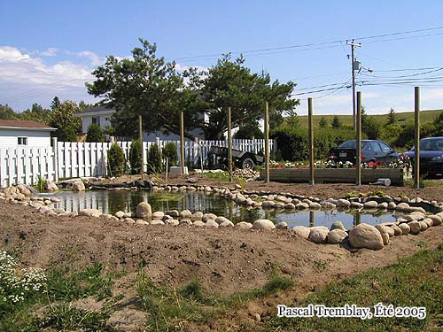 Plan Construire un bassin - Plan d'étang - Plan de Jardin d'eau - Plan Jardin aquatique