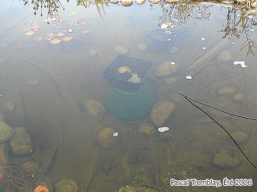 Déglaceur bassin extérieur - Système antigel bassin extérieur - sauver ses Koïs et poissons l'hiver