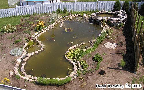 Bassin extérieur - Jardin d'eau - Jardin aquatique - Plan de construction bassin