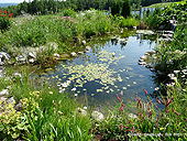 Comment construire un bassin de jardin - Bassins de France - Idée de jardin aquatique