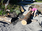 Bordure de jardin en bois