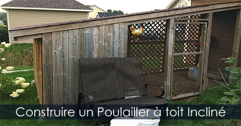 Comment Construire un Poulailler à toit incliné - Plan et étapes de construction d'un Poulailler urbain