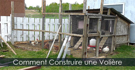 Comment Construire une Volière au Poulailler - Plan et étapes de construction d'une Volière au jardin.