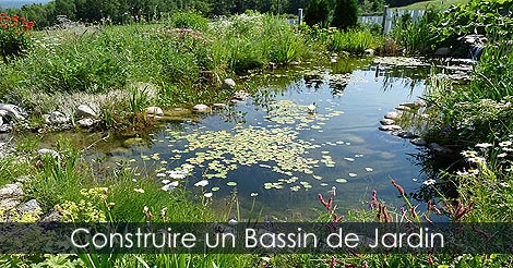 Guide de Jardinage - Plan et étapes de construction d'un Bassin de Jardin