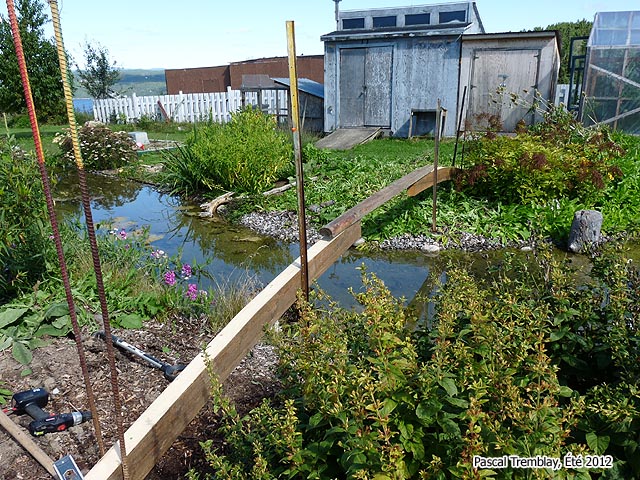 Pont pour bassin extérieur en arc en bois - Idées au jardin aquatique