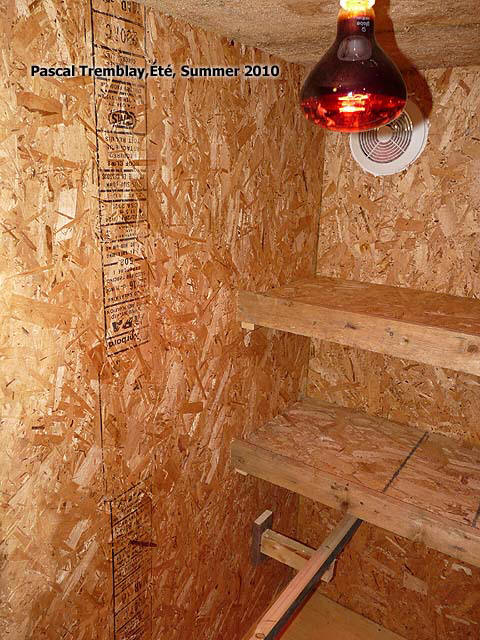 Ampoule infrarouge pour Poulailler construire hiver - Poulailler chauffé