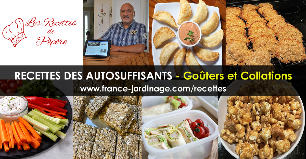 Recettes collations