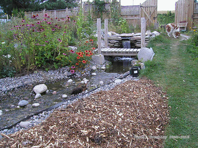 Jardinage aquatique - Faire un ruisseau dans son Jardin