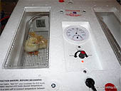 Guide d'incubation des oeufs de poules - Couveuse automatique et éleveuse