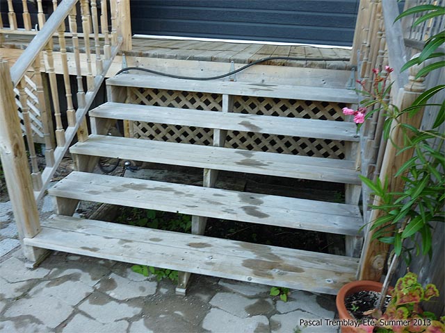 Nettoyer escaliers et rampes en bois