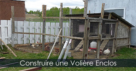 Construire une volière extérieure pour oiseaux - Volière et enclos pour basse-cour - Comment construire une volière au poulailler